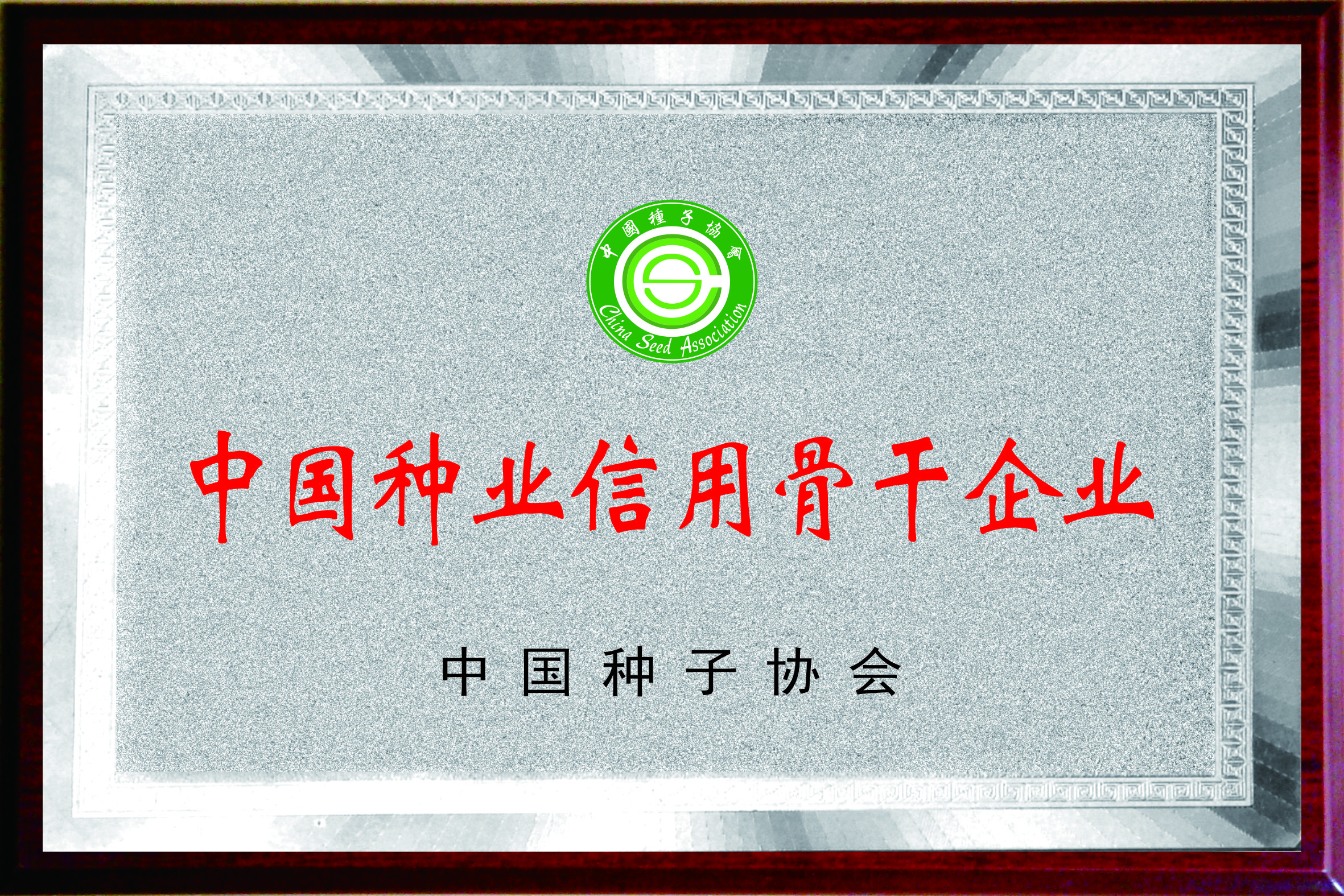 202212中國(guó)种业信用(yòng)骨干企业 (2).jpg